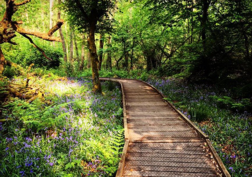 Bryngarw Country Park, United Kingdom